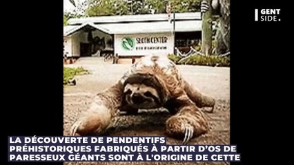 Des pendentifs préhistoriques permettent d'estimer la date d’arrivée d'humains en Amérique du Sud !