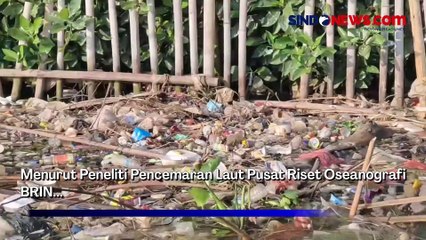 Banyak Tumpukan Sampah! BRIN Sarankan Lokalisir Sampah Menuju Hutan Mangrove di Muara Angke