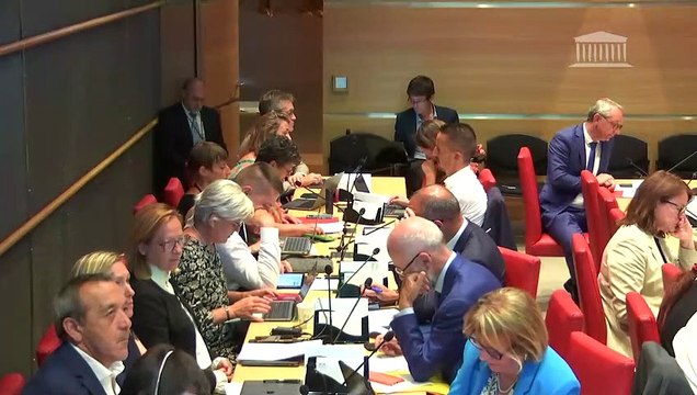 Commission du développement durable : Mme Dominique Faure, ministre déléguée chargée des collectivités territoriales et de la ruralité, sur le plan France Ruralités - Mardi 11 juillet 2023