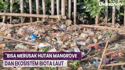 Peneliti BRIN Sarankan Lokalisir Sampah yang Menuju Hutan Mangrove di Muara Angke