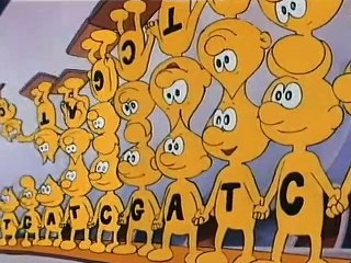 Siamo fatti così - 16 - La nascita