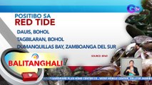 Positibo sa red tide ang Dauis at Tagbilaran sa Bohol at Dumanquillas Bay sa Zamboanga del Sur | BT