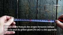 Grêlons de la taille de balles de tennis, dégâts matériels… Les orages ont touché l’est de la France