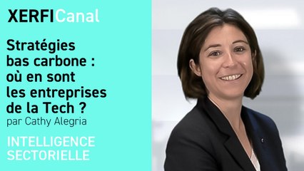 Stratégies bas carbone : où en sont les entreprises de la Tech ? [Cathy Alegria]