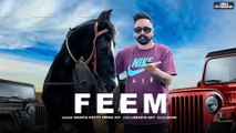 Feem | Bhanta Kot ft. Arpanjot Kaur | Bhanta Kot