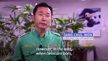 South Korea welcomes birth of first giant panda twins