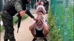 Militares trasladan a 1.628 pandilleros a dos cárceles de máxima seguridad en Honduras