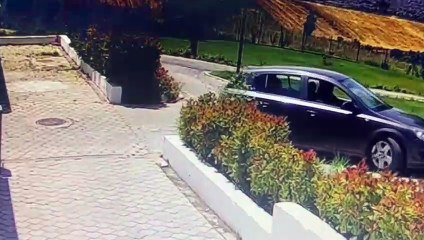 BADEM VE ÇİKO YUVASINA KAVUŞTU