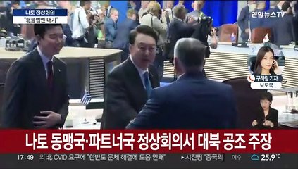 윤대통령 "북 도발은 정면 도전…강력한 집단안보 확립"