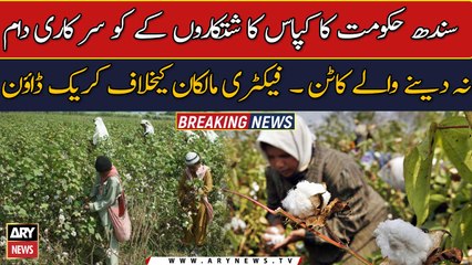 Sindh govt launches action against non-compliance of official cotton rates