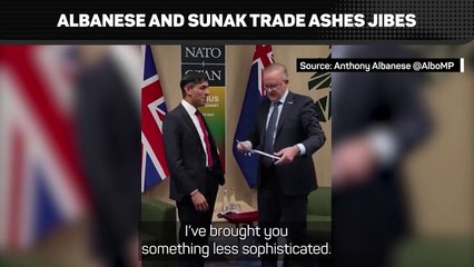 A democratic sledging match - Sunak vs Albanese