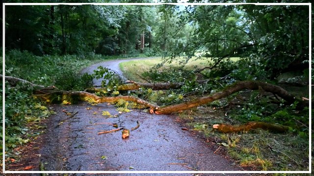 Unwetter sorgten vor allem in der Westhälfte Österreichs für Schäden