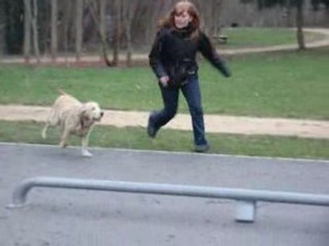 chelsea 2eme parcours impro agility