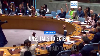 UN Security Council fails to renew authorisation of vital cross-border aid for Syria