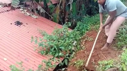 A Dog was Almost Buried Alive, But She and Her Puppies Were Rescued