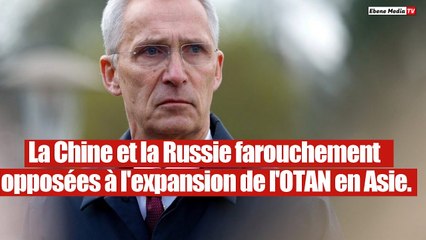 OTAN : Stoltenberg traité d'"imbécile suprême" et d'"agent des Etats-Unis".