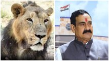 विधानसभा अध्यक्ष ने संसदीय कार्य मंत्री डॉ नरोत्तम मिश्रा को बताया शेर, कहा- समय पर ही दहाड़ते ये