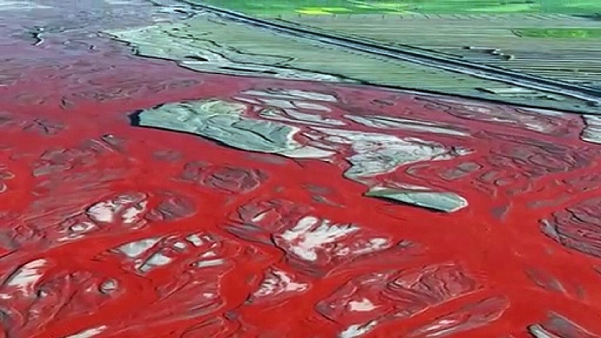 ⁣Çin'deki Kızıl Renkli Nehir Göz Kamaştırıyor