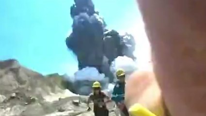 Terrified tourists flee erupting New Zealand volcano that killed 22 in never-before-seen video