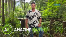 Amazing Earth: 5th year anniversary behind-the-scenes special (Online Exclusive)