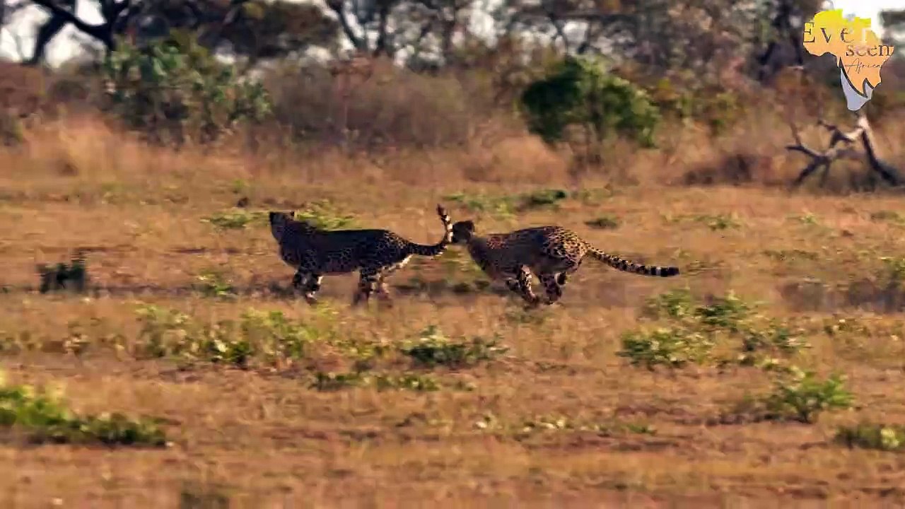 Kudyela pride growing stronger and stronger