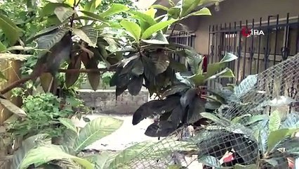 İstanbul'da aile içi vahşet! Hem annesini hem babasını katlertti