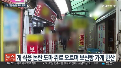 "불법" vs "자유"…개 식용 논란 또 다시 도마 위로