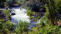 The sound of the stream flowing with the sound of forest birds singing , Stress Relief, sleep music