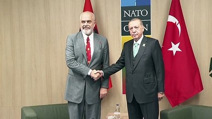 Cumhurbaşkanı Erdoğan, Arnavutluk Başbakanı Rama ile görüştü