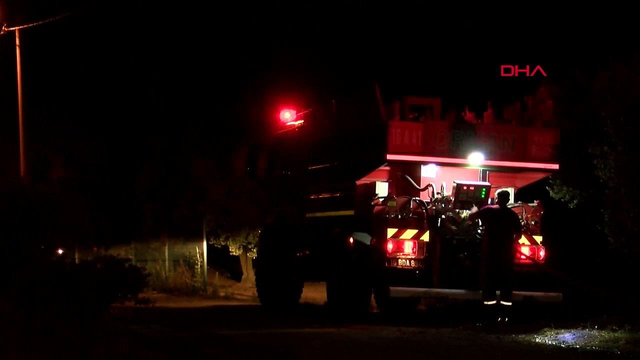 Feu de forêt à Bursa： je m'ennuyais, je l'ai brûlé parce que je voulais