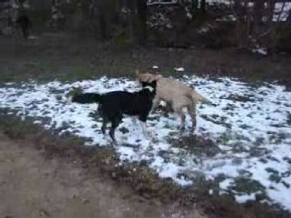 Cheyenne et Chelsea