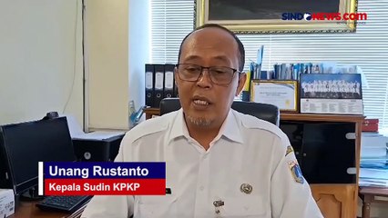 Diawali Kejang-Kejang, Puluhan Kucing Mati Mendadak di Sunter