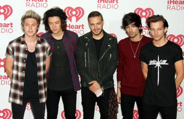 Zayn Malik admits One Direction bandmates ultimately "got sick of each other"