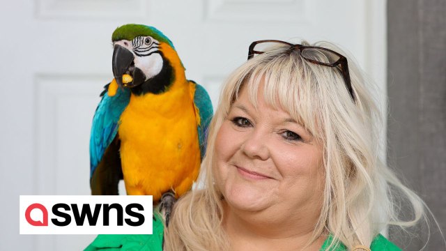 Parrot missing for two days is rescued from a tree after being lured down with a bag of Wotsits