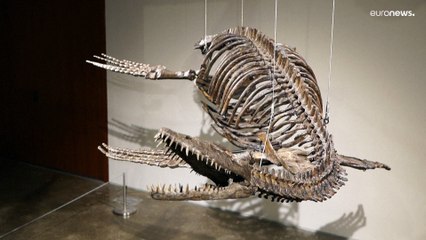 هيكلان عظميان لديناصورين يُطرحان للبيع ضمن مزاد في نيويورك