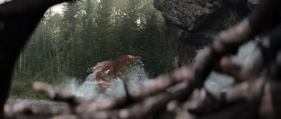 Intense Battle: Predator vs Bear in 'Prey' (2022) 🐻🛸