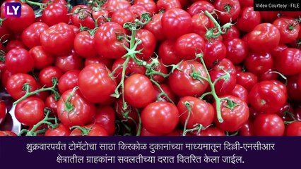 Tomato Price: केंद्र टोमॅटोच्या वाढत्या किंमतीला आळा घालण्यासाठी महाराष्ट्रातून टोमॅटो खरेदी करणार, जाणून घ्या अधिक माहिती