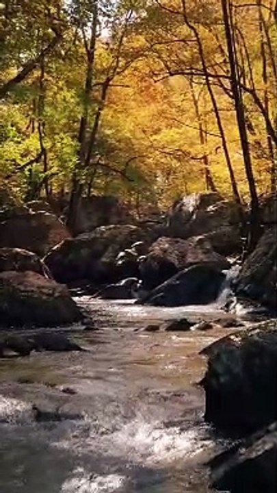 nature love | a video of climbing a river | MINI TV