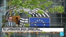 EU lawmakers back green bill: Law will protect nature and fight climate change