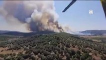 Muğla'nın Milas ilçesinde, ormanlık alanda çıkan yangın, havadan ve karadan müdahaleyle kontrol altına alınmaya çalışılıyor.