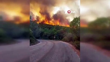 Milas'ta orman yangını başladı