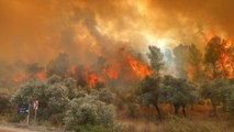 Muğla'da ormanlık alanda yangın çıktı