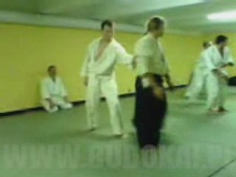 Aikido: Kata Dori - Sumi Otoshi (variation)