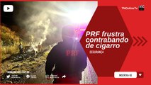 Após fuga de 10 km, caminhonete cai de barranco e pega fogo no Paraná