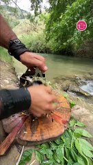 شاهدوا طريقة إعداد ألذ عجة باذنجان 🥘 لا تفوتوها!