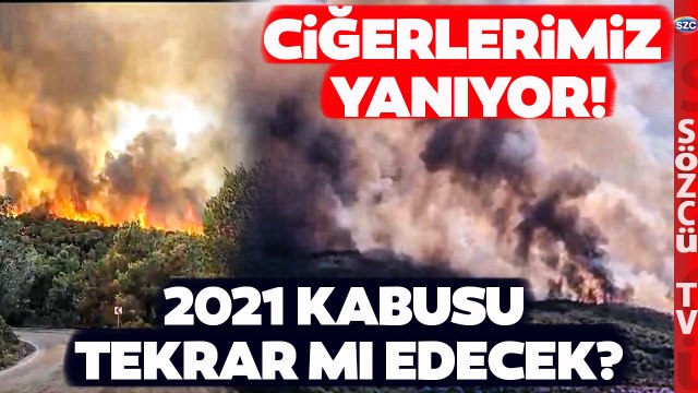 SON DAKİKA Muğla Milas'ta Korkutan Orman Yangını! Yangın Oraya da Sıçradı