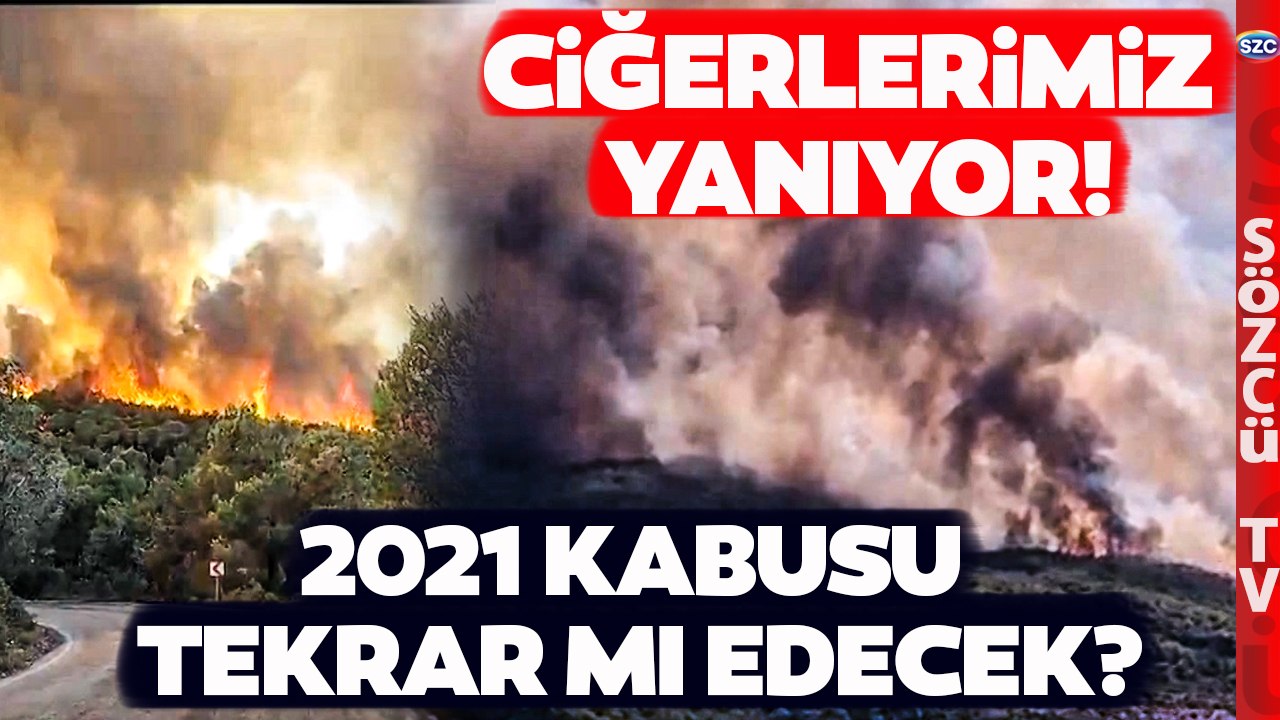 SON DAKİKA Muğla Milas'ta Korkutan Orman Yangını! Yangın Oraya da Sıçradı