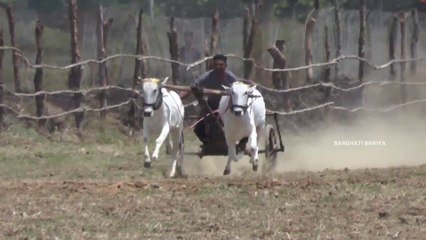 aandhi tufan pat pratiyogita video | barghati bhaiya pat
