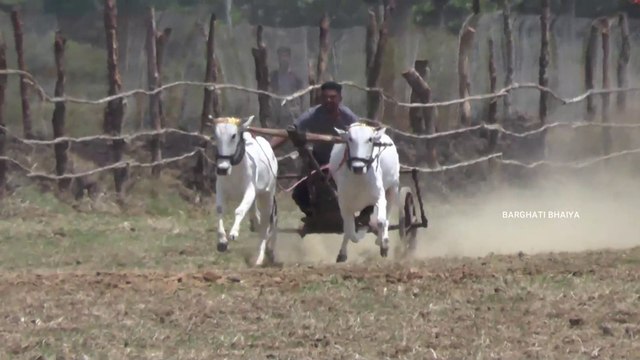 aandhi tufan pat pratiyogita video | barghati bhaiya pat