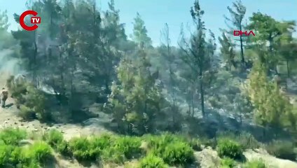 Kaş'ta iki hektarlık kızılçam ormanı yandı!